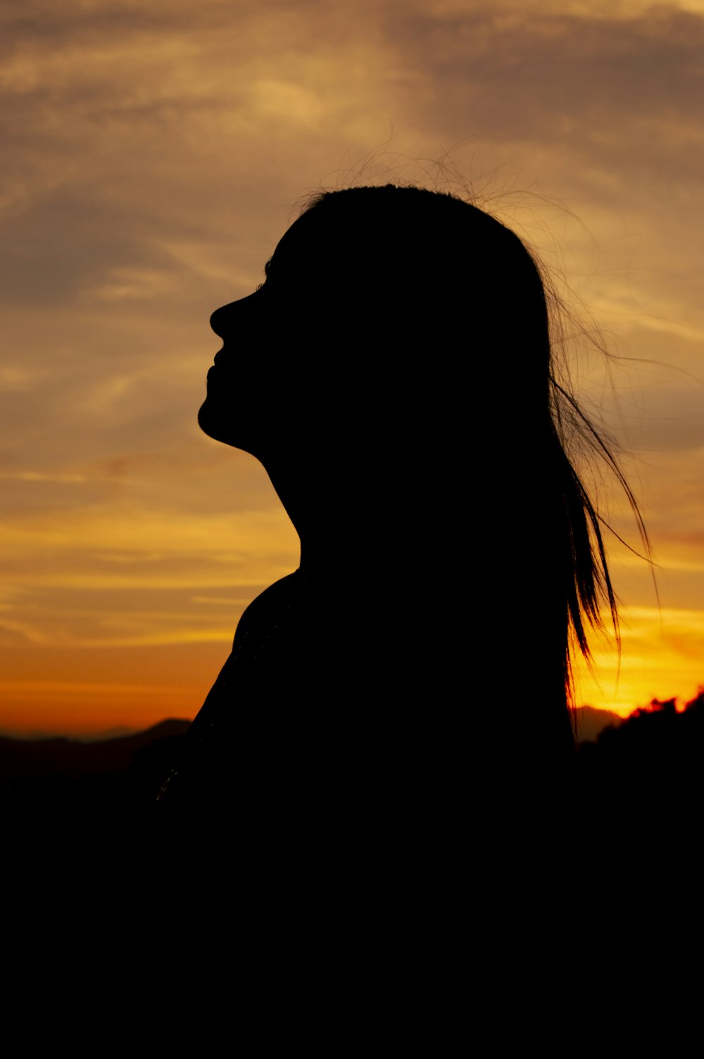 a silhouette of a woman with her hair blowing in the wind