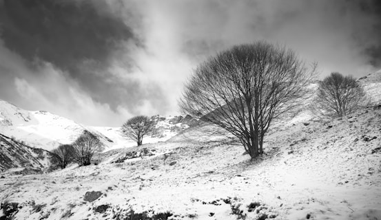 a black and white photo of a snowy mountain