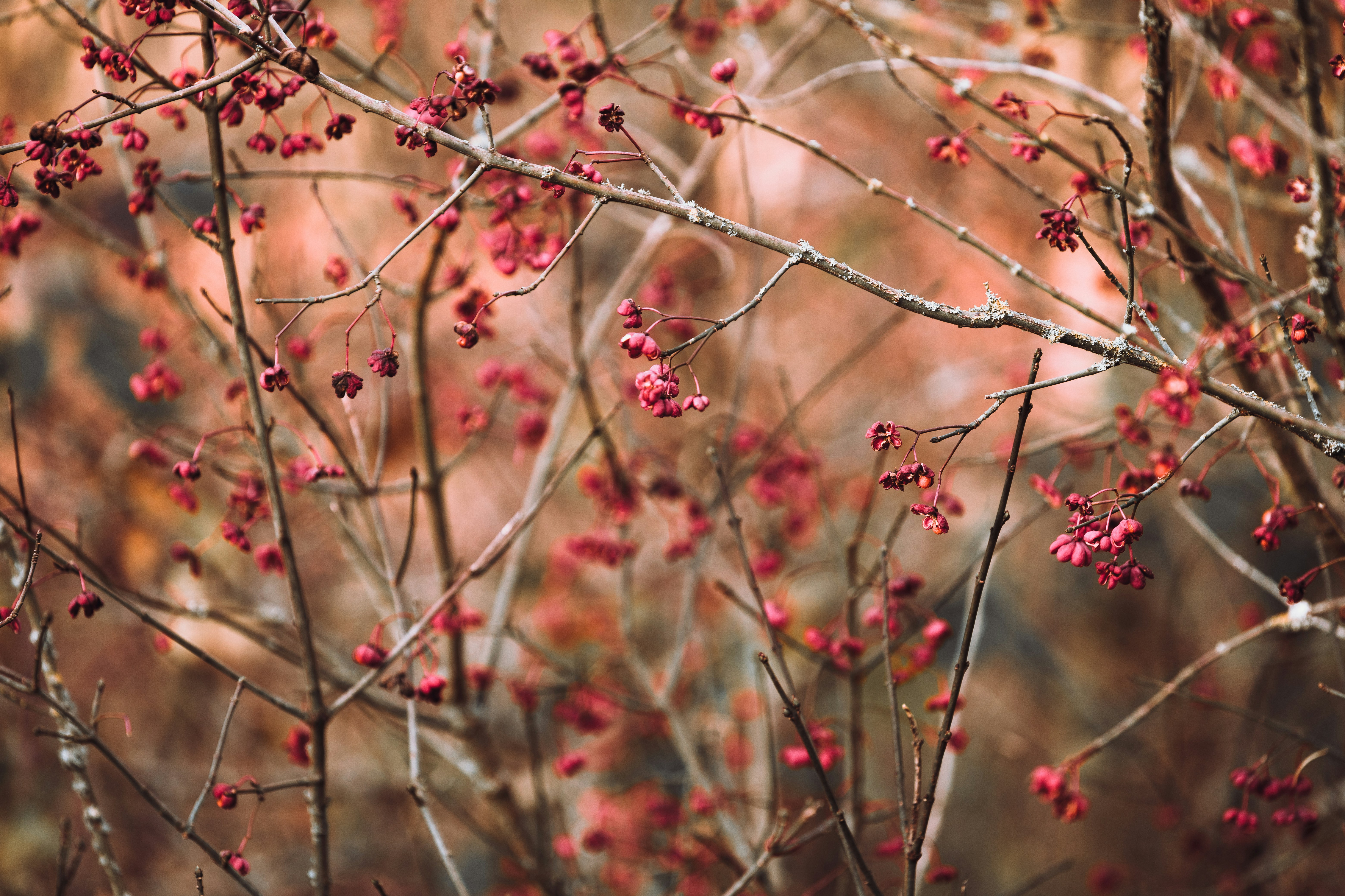 Photo by timonreinhard