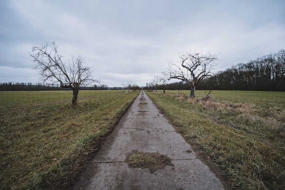 an empty road in the middle of a grassy field