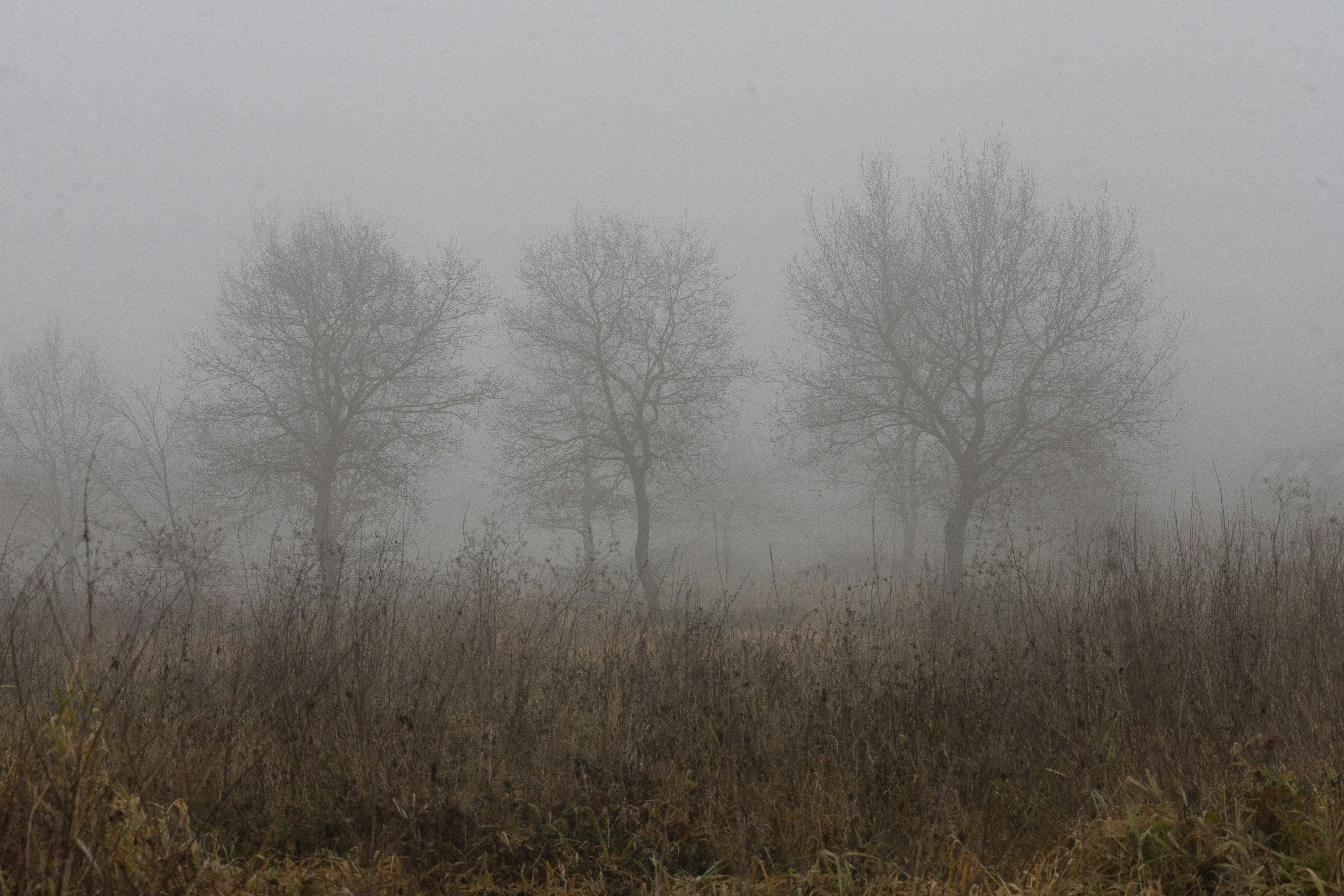 Photo by timonreinhard