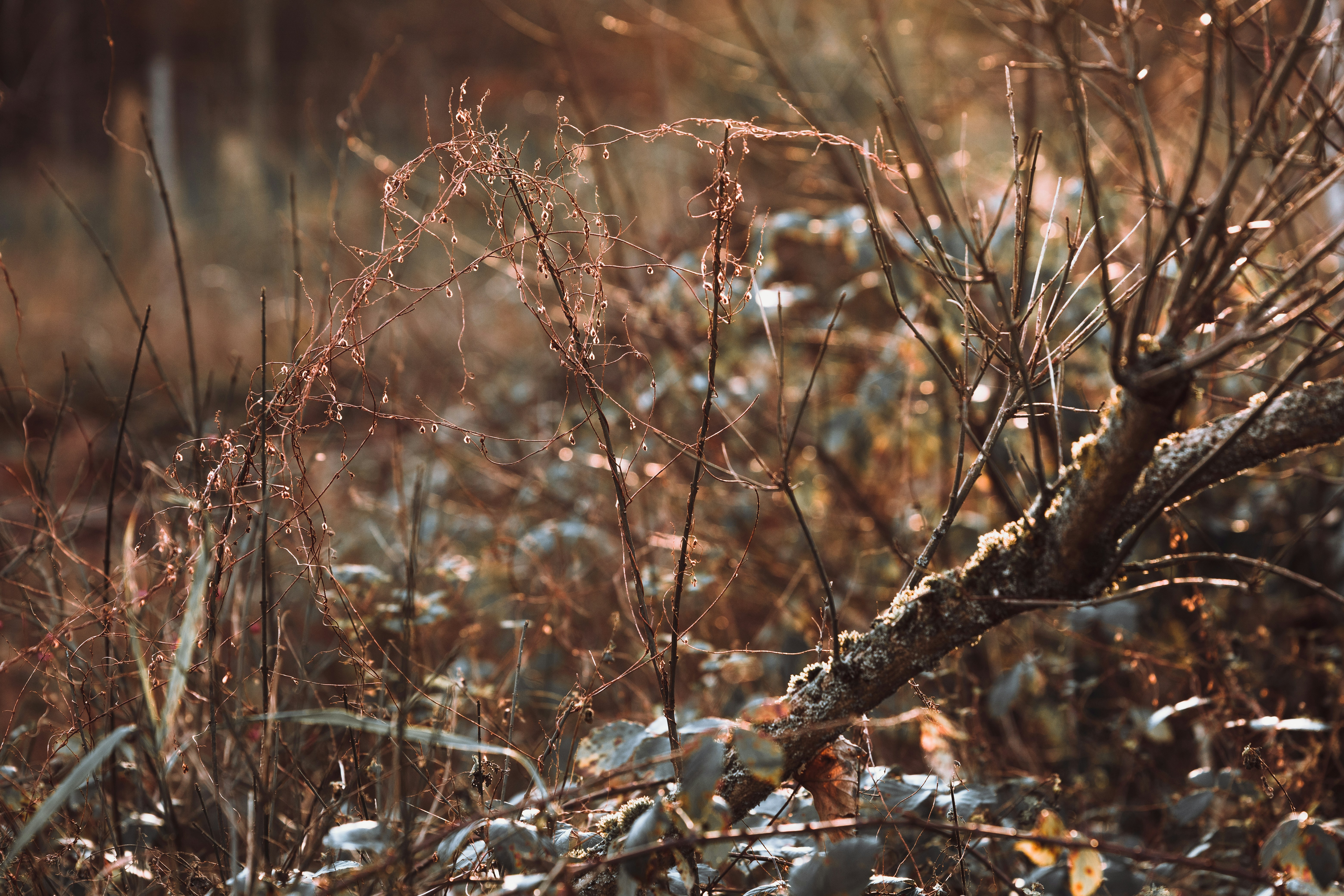 Photo by timonreinhard