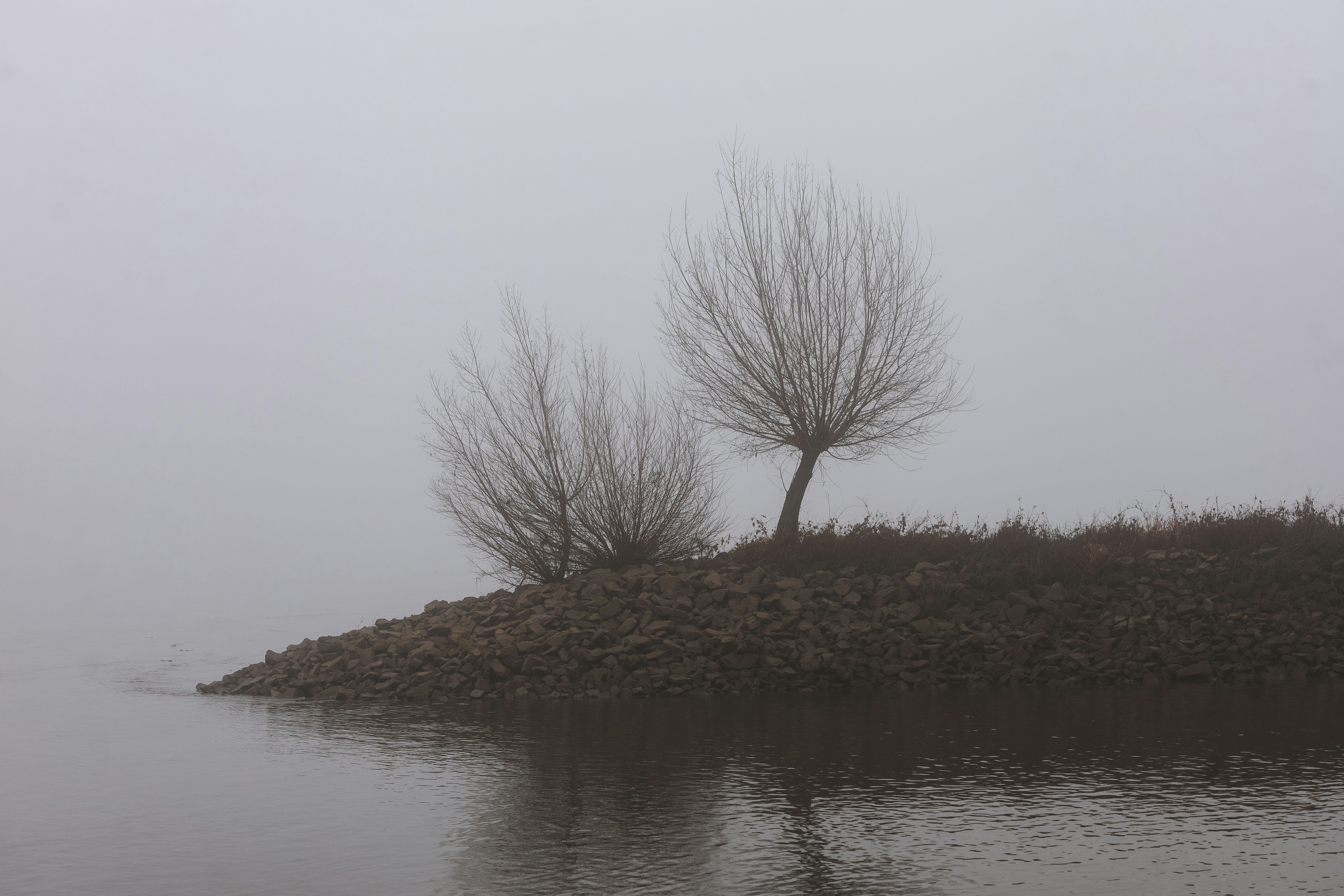 Photo by timonreinhard