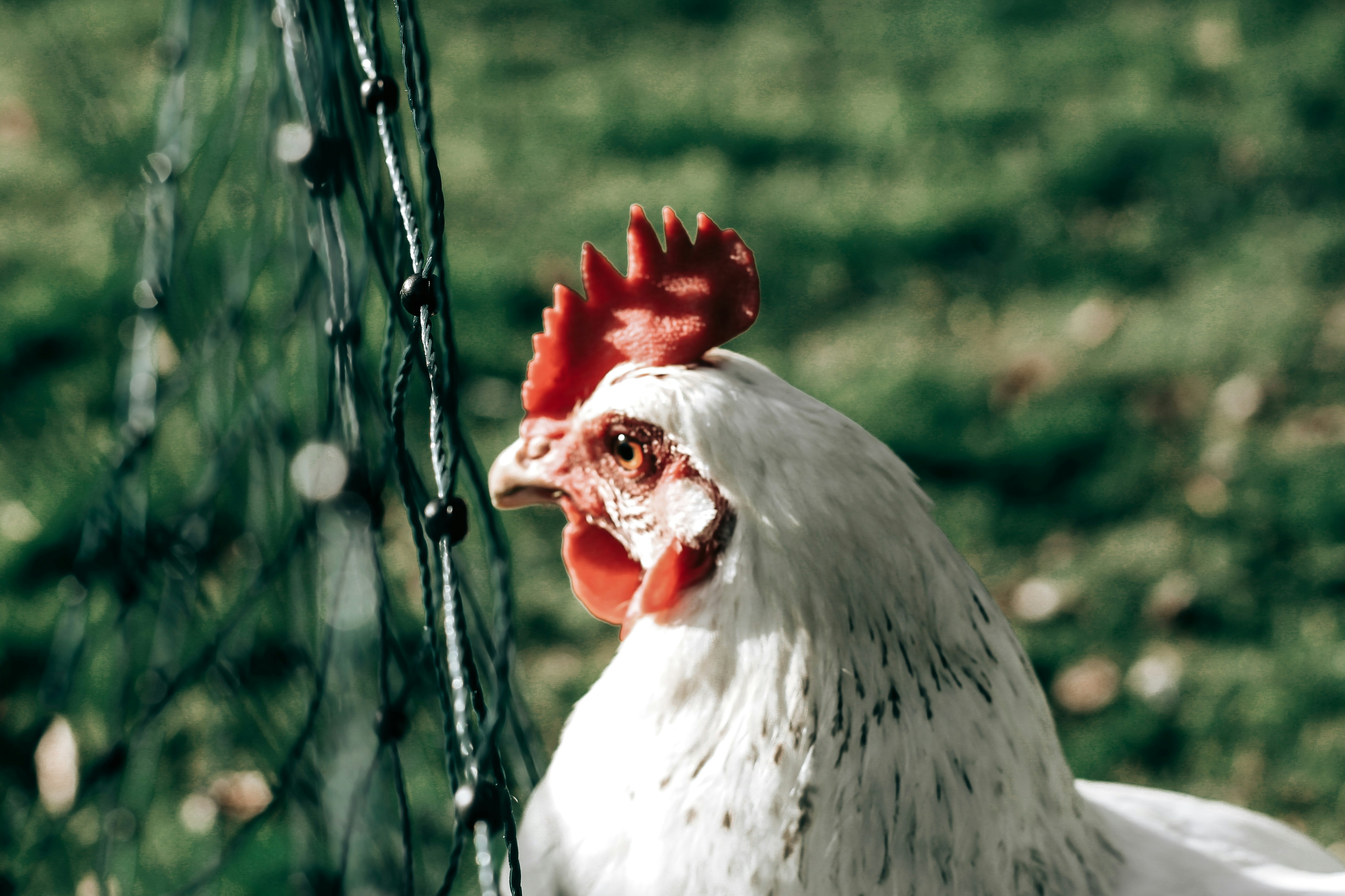 Photo by alexlawrence