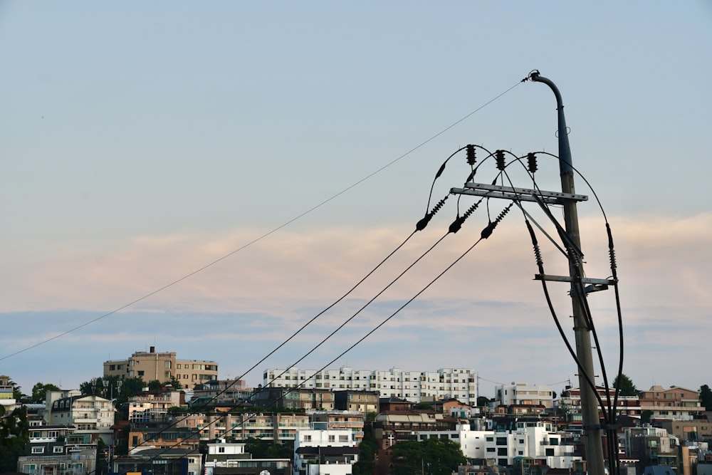 a group of birds sitting on top of power lines
