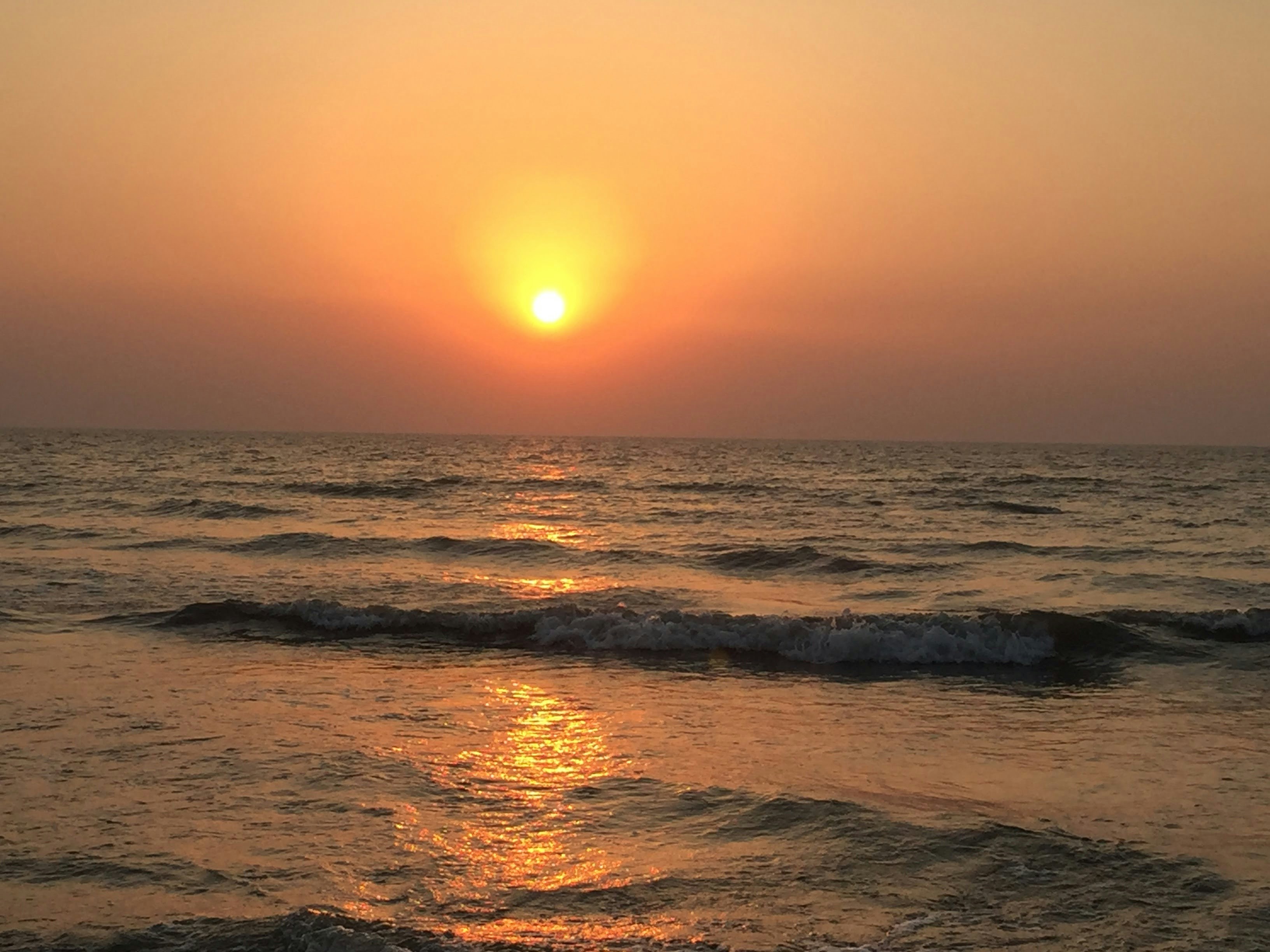 Photo by rutaagodbole