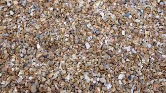 a bunch of rocks that are on the ground