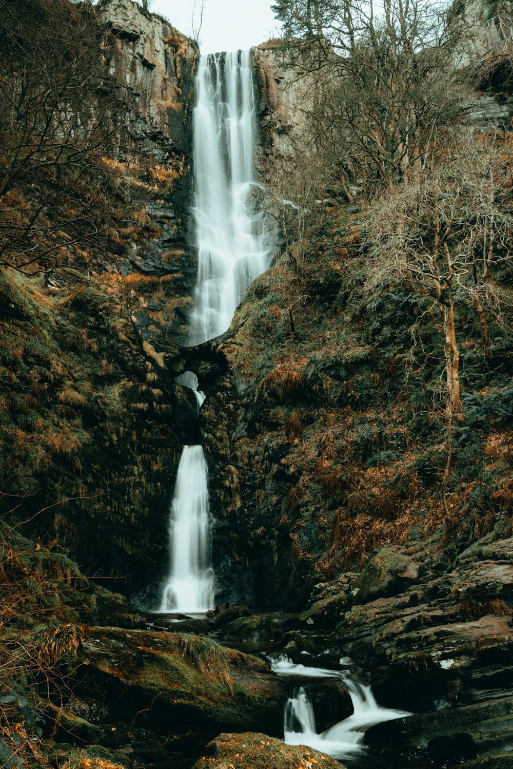 Una cascata nel mezzo di una foresta