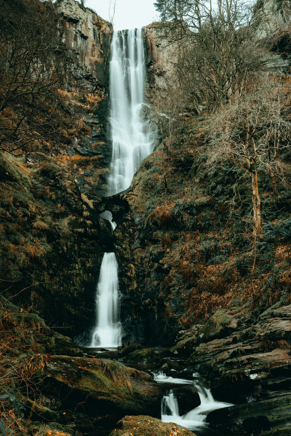 Una cascada en medio de un bosque