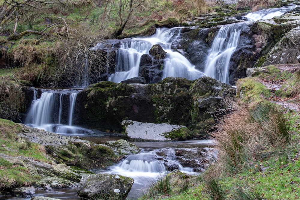 Une petite cascade au milieu d’une forêt