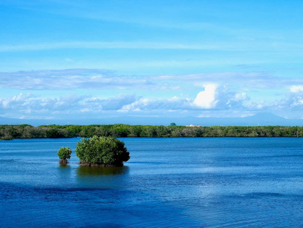 a body of water with a small island in the middle of it