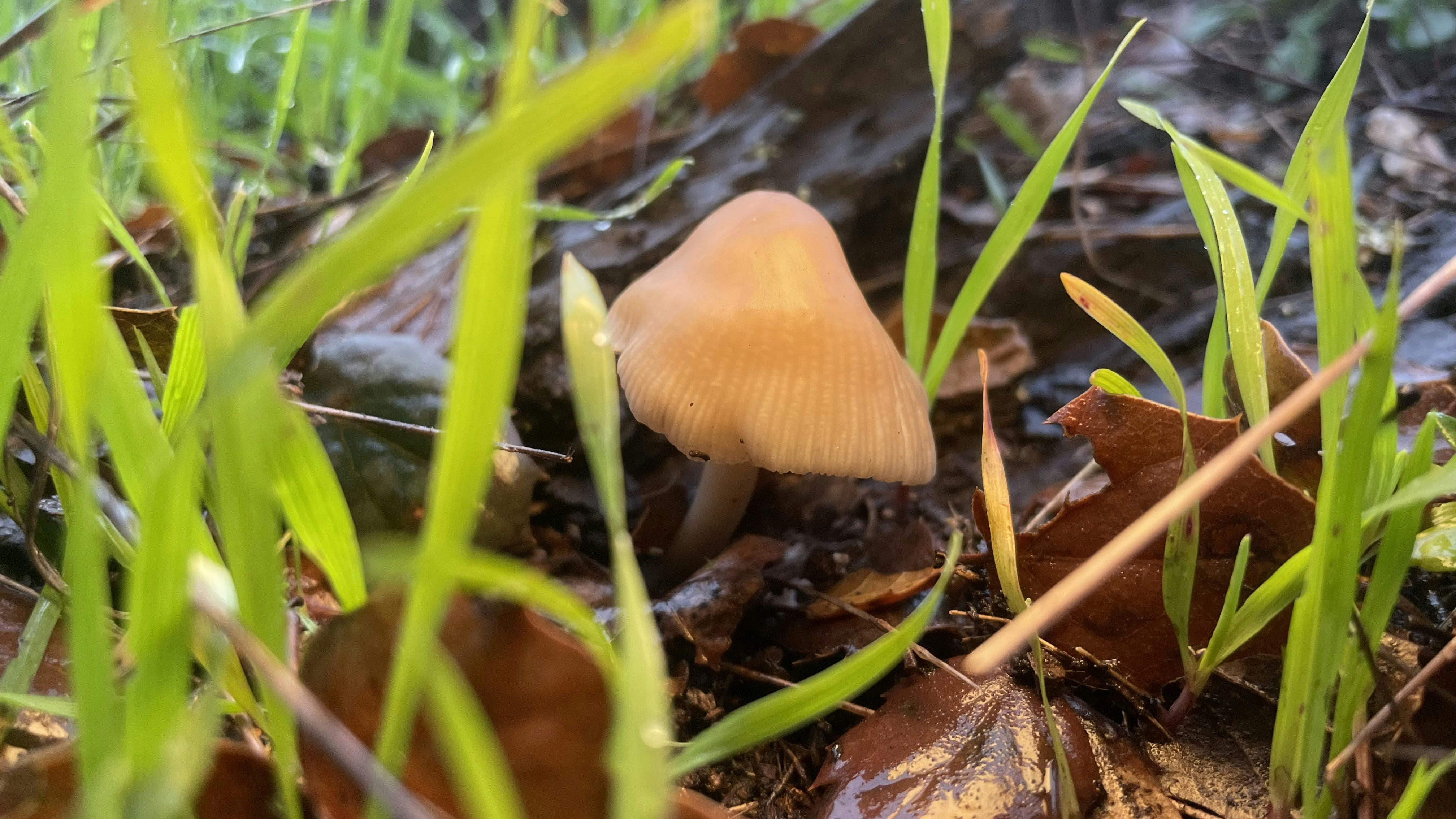 Photo by createelement27