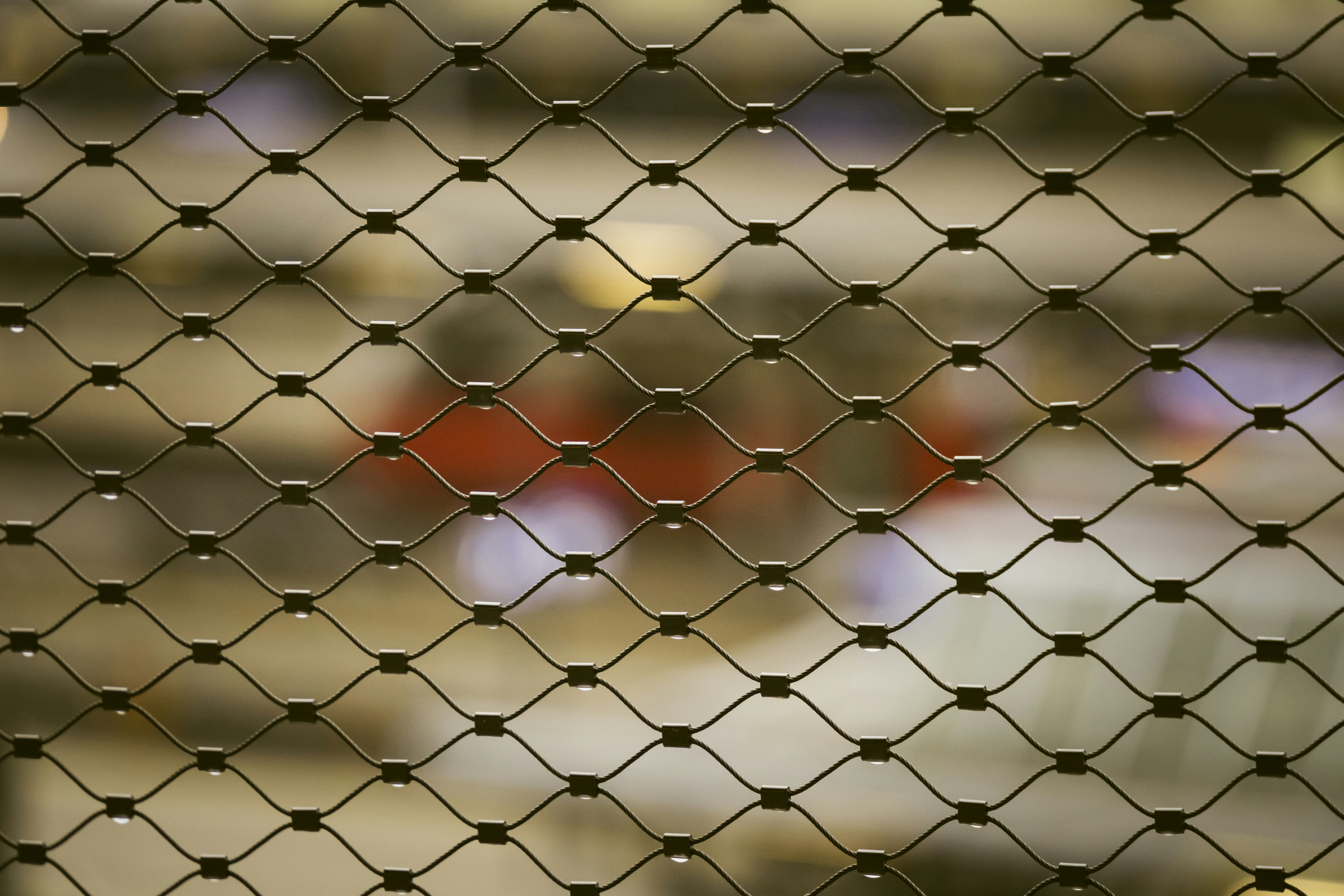 Photo by pino_rumbero