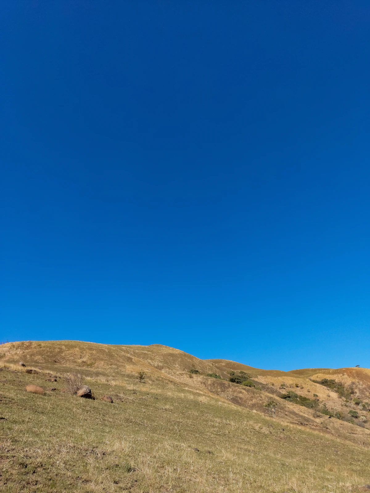 Man flying a kite on a green hillside