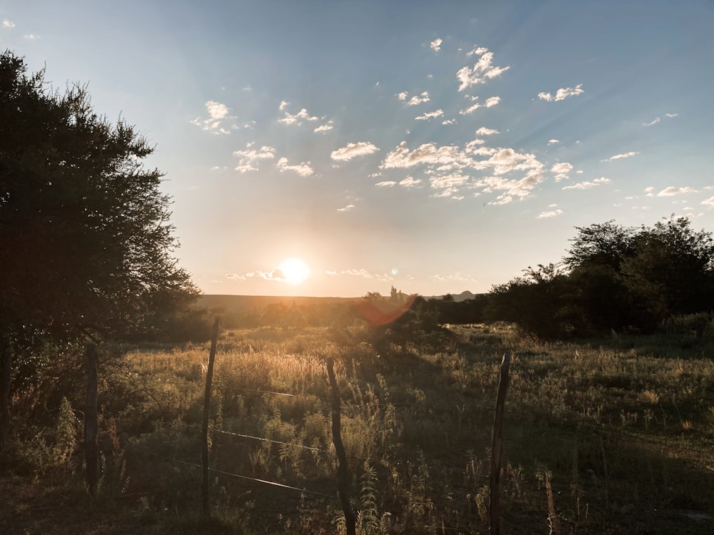 the sun is setting over a field with trees