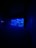 A large aquarium tank filled with various coral and fish is illuminated in a deep blue hue, creating a serene and captivating underwater scene. Several figures are silhouetted against the blue light, observing the aquatic display. The room is dark, enhancing the vividness of the aquarium's glow.