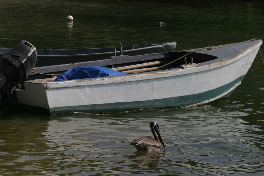 Un pato nadando en el agua junto a un bote