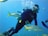 a man in a scuba suit is surrounded by fish