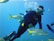 a man in a scuba suit is surrounded by fish