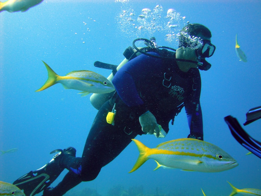 a man in a scuba suit is surrounded by fish