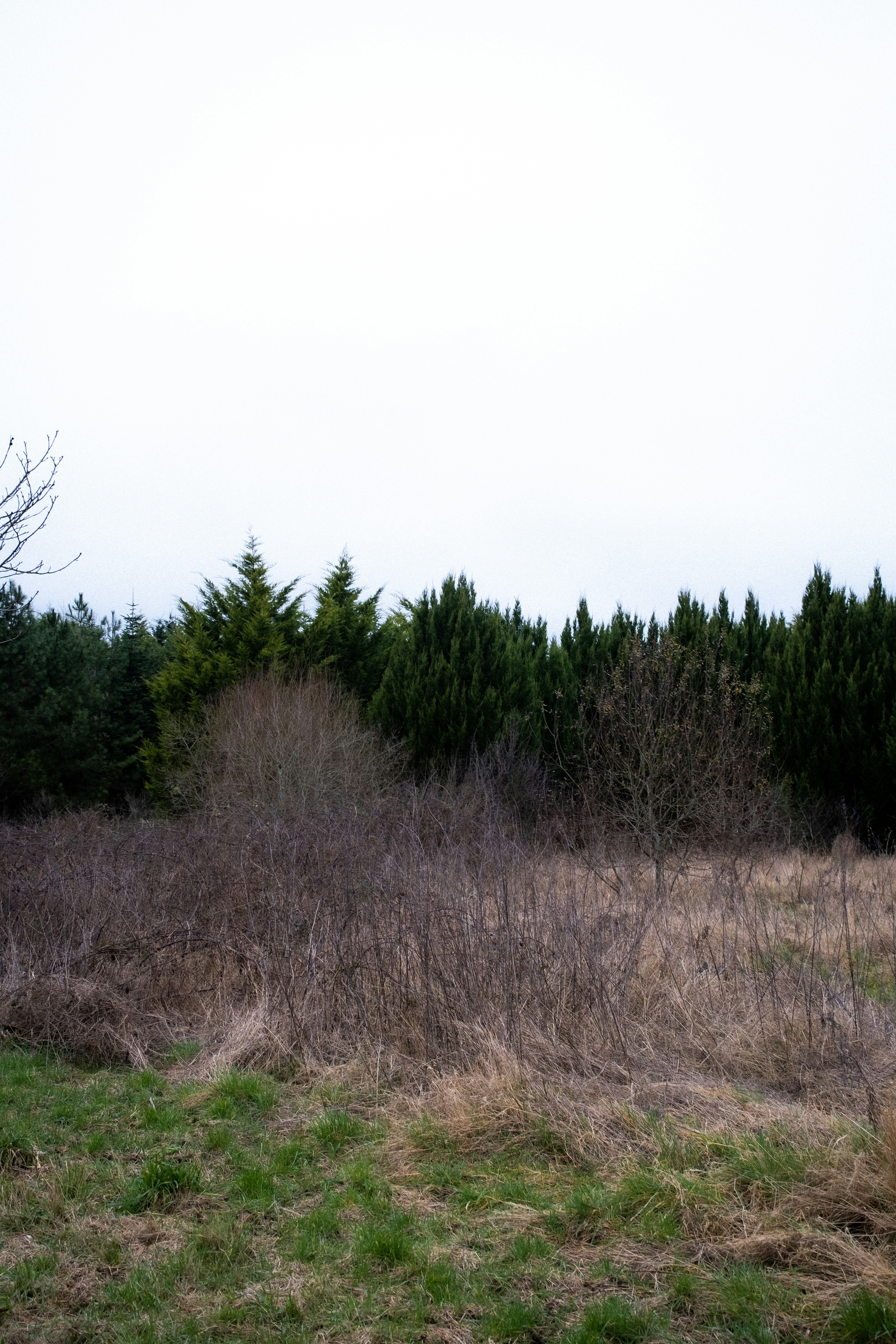 Photo by matreding