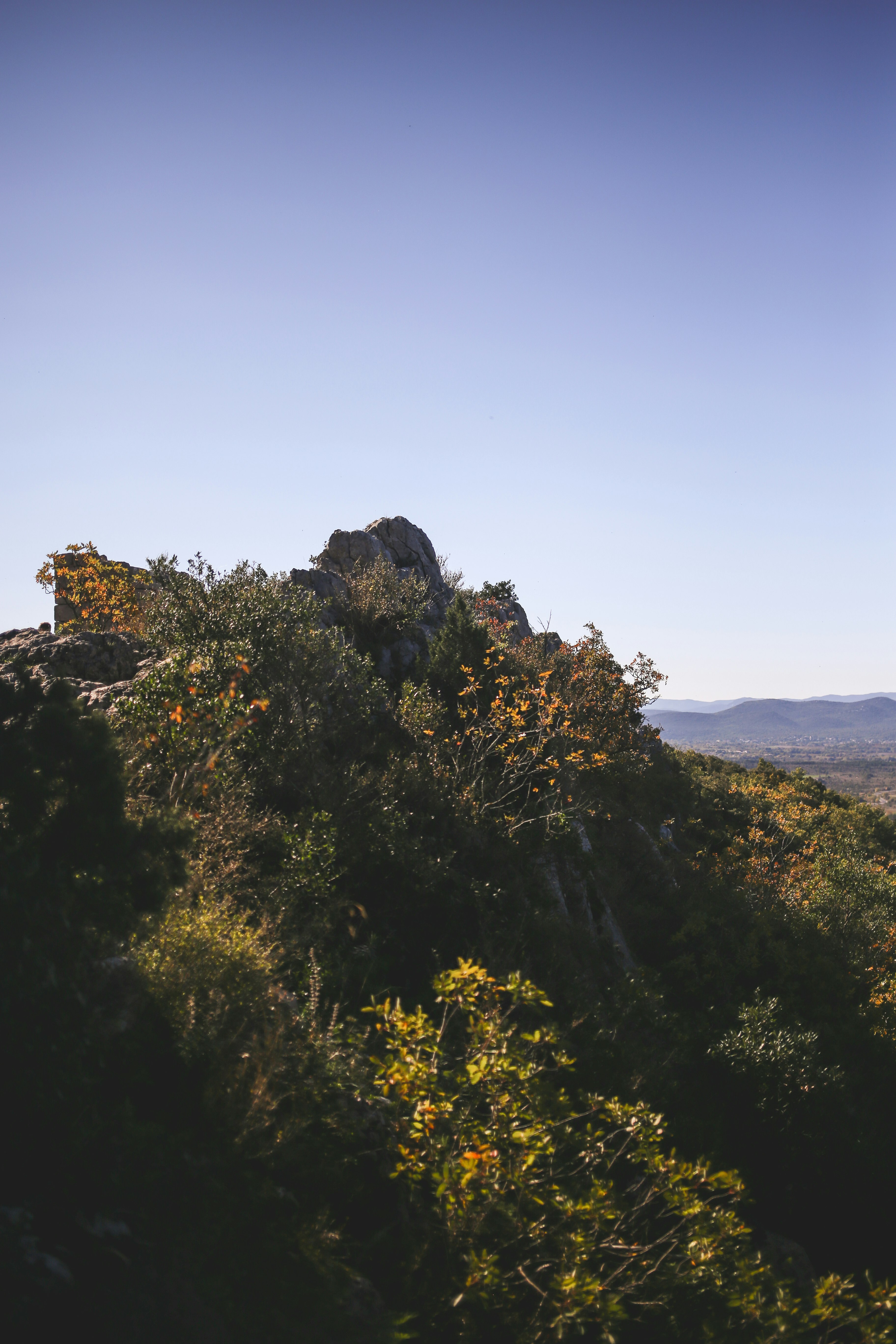 Climbing Hortus Pic Saint-Loup cliff with forest