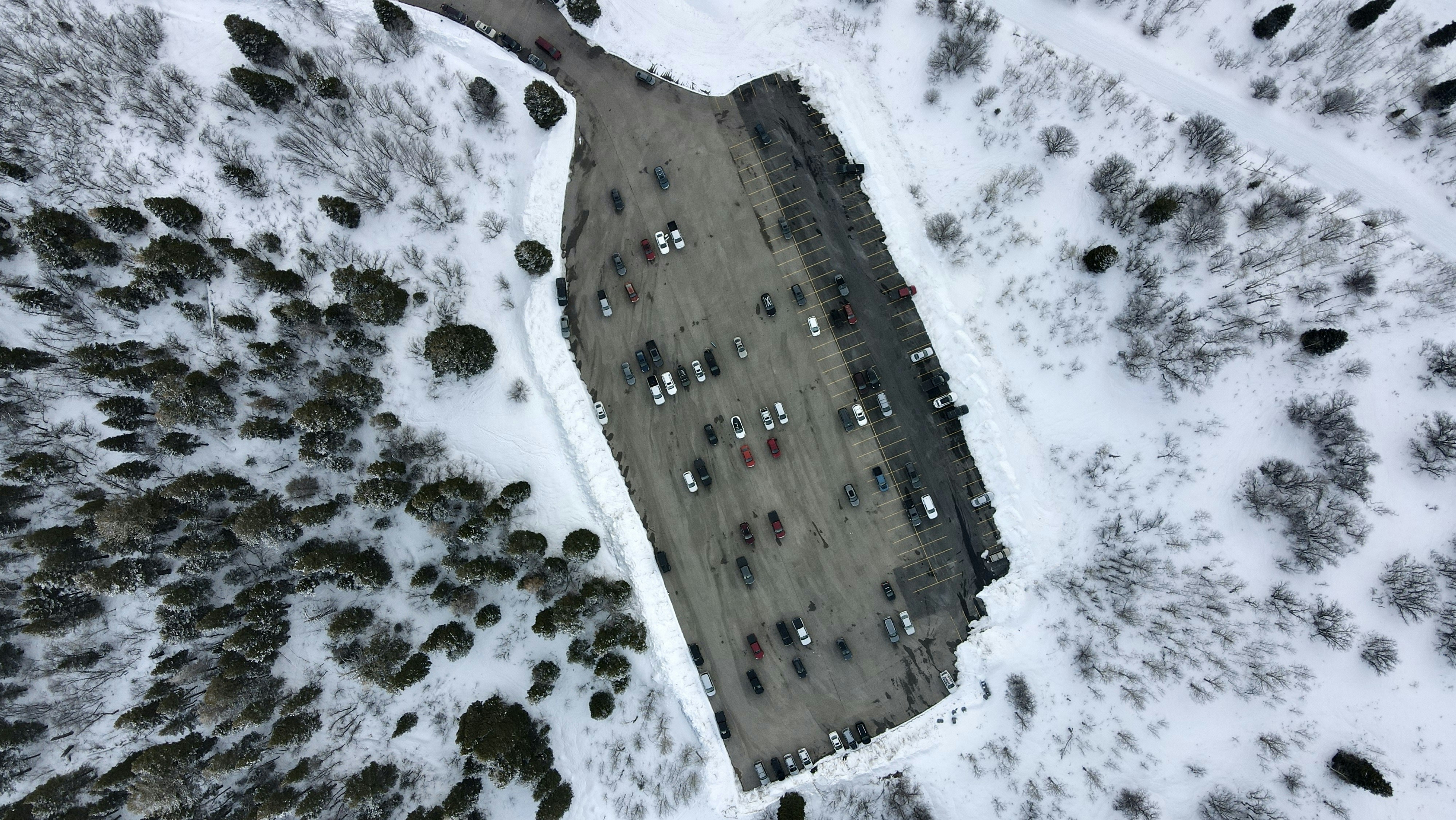 car top-down view, aerial perspective, ilustrasi artikel Stunning Top Down Aerial View Car Wallpapers for Mobile 6