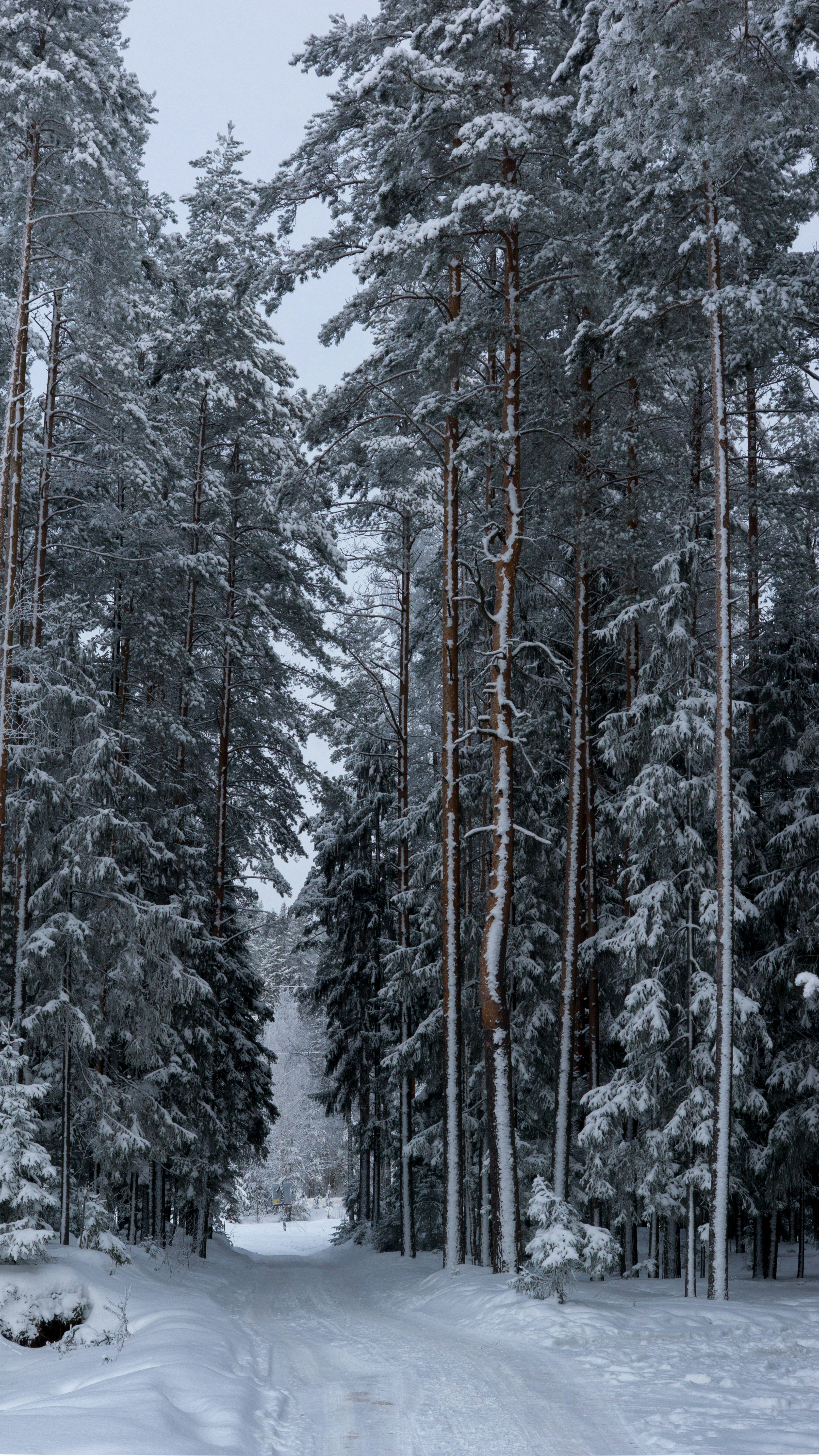 Photo by henrikson