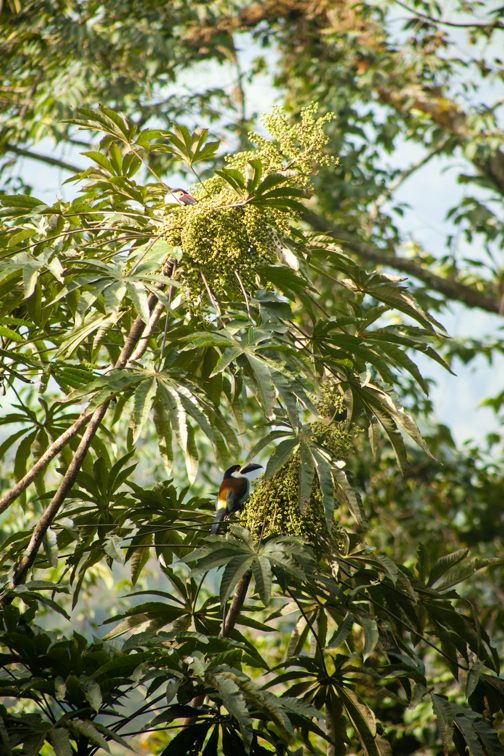 a bird is perched on a tree branch