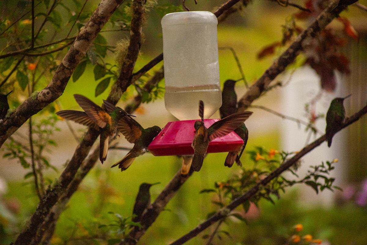 La biodiversité est menacée