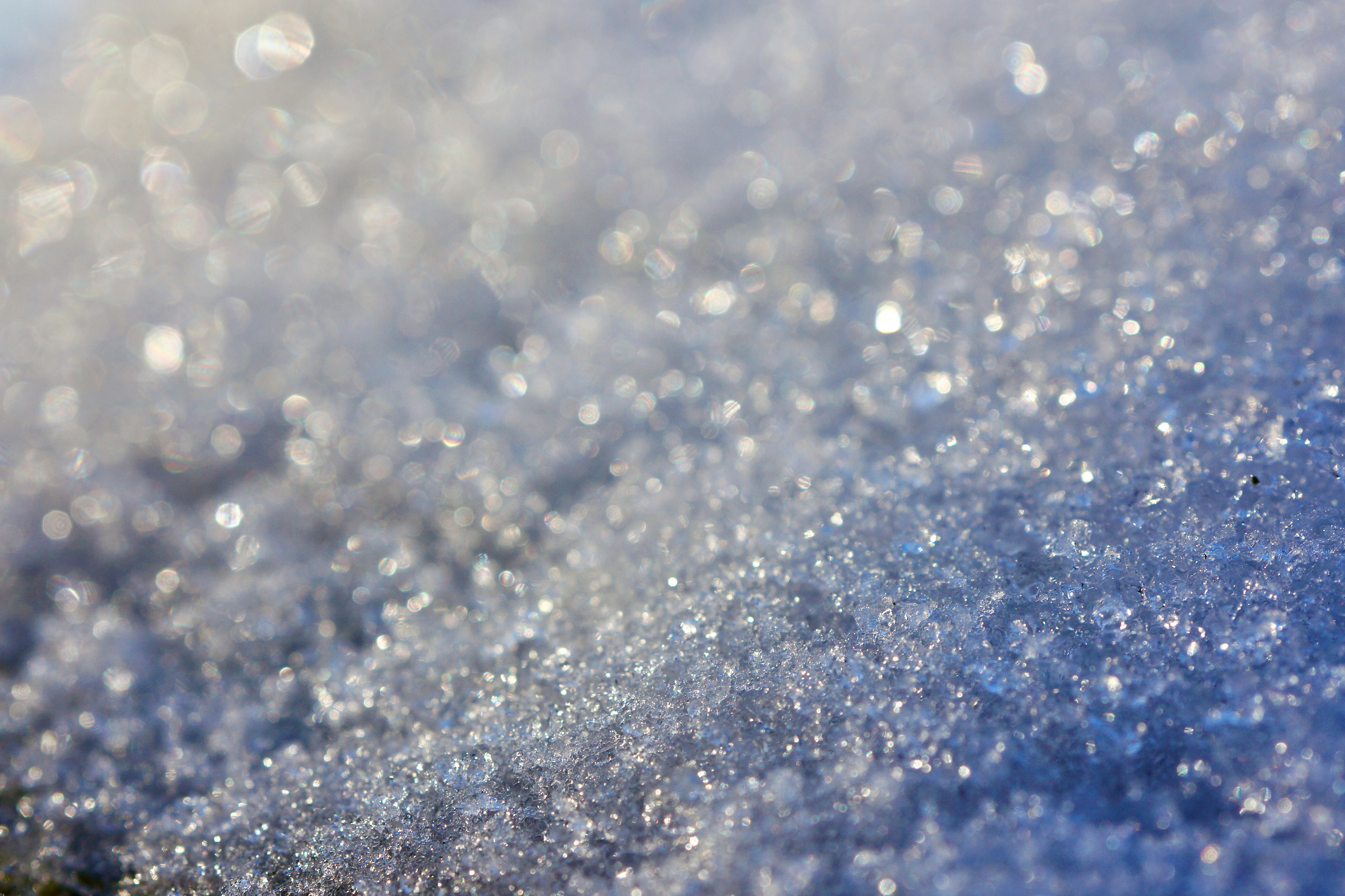 Photo by peterburdon