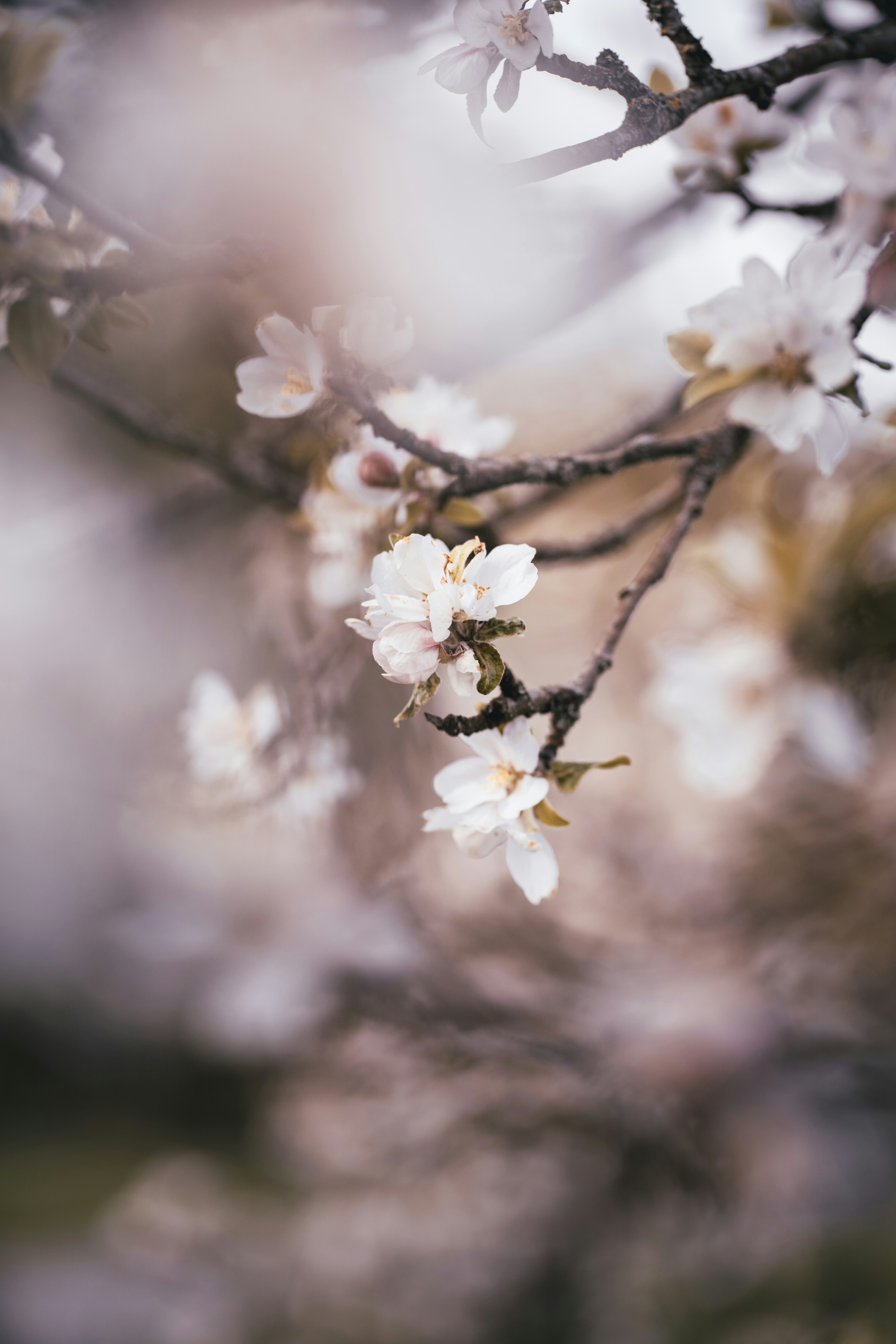 Photo by prllxgraphie