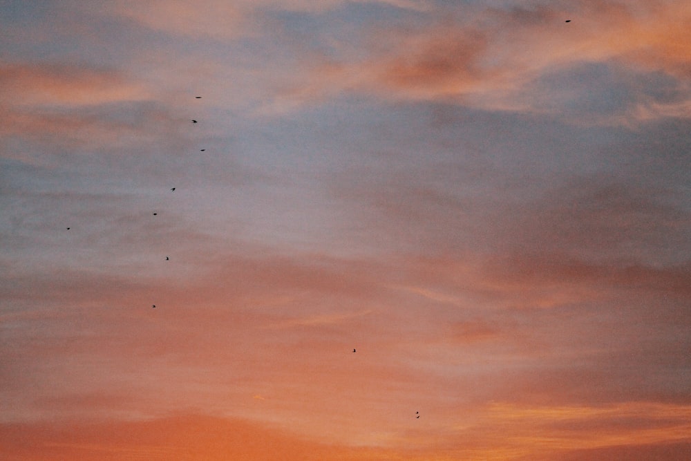 a sunset with birds flying in the sky