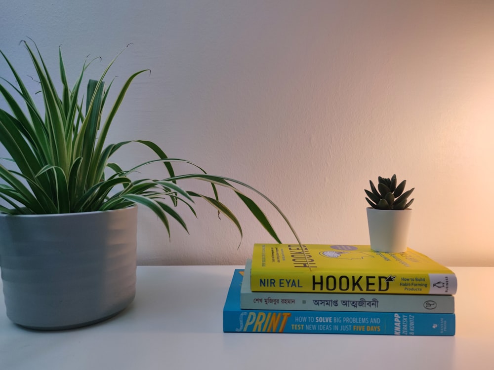 a stack of books next to a potted plant