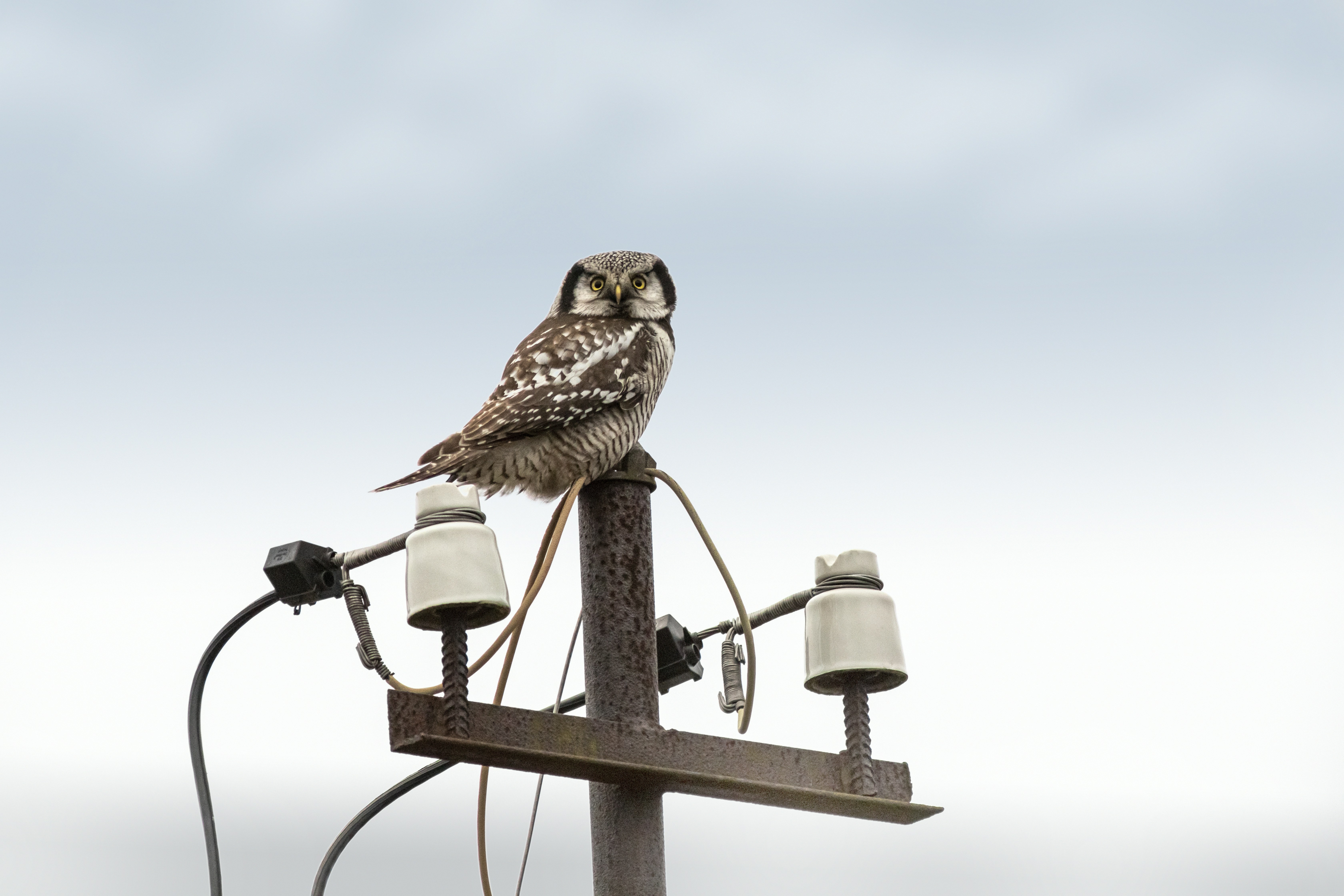 Photo by erik_karits