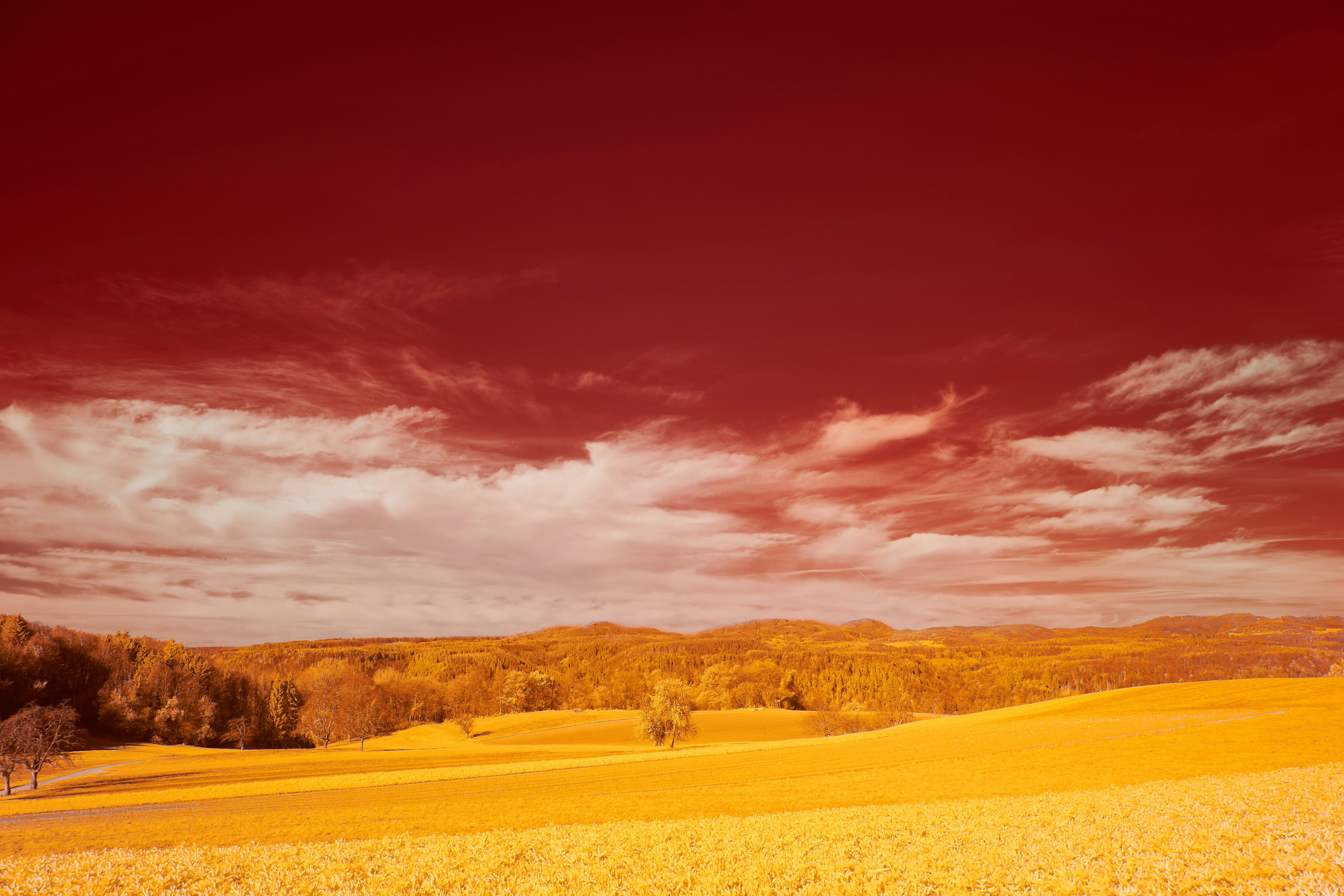 Photo by wolfgang_hasselmann