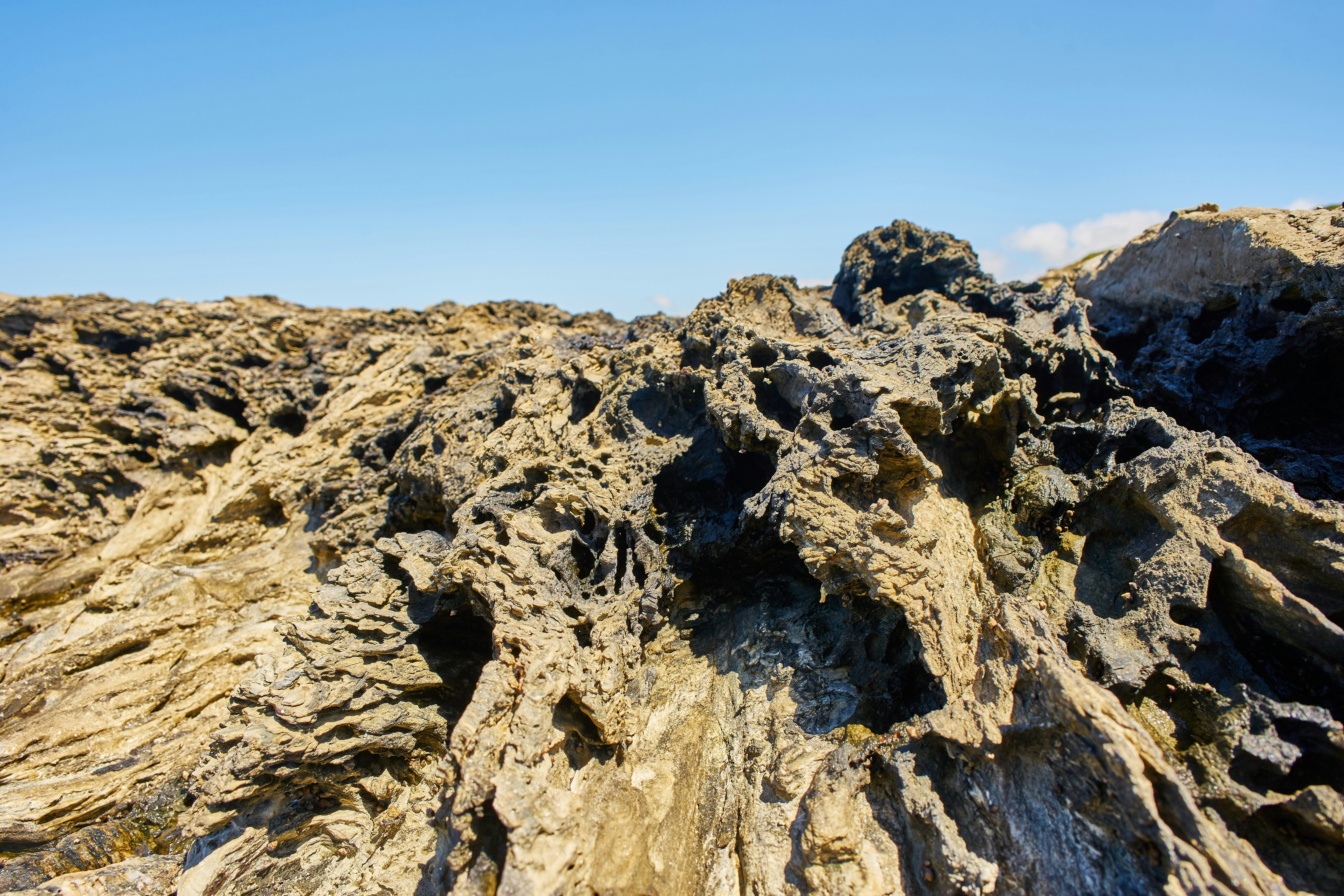 Photo by wolfgang_hasselmann