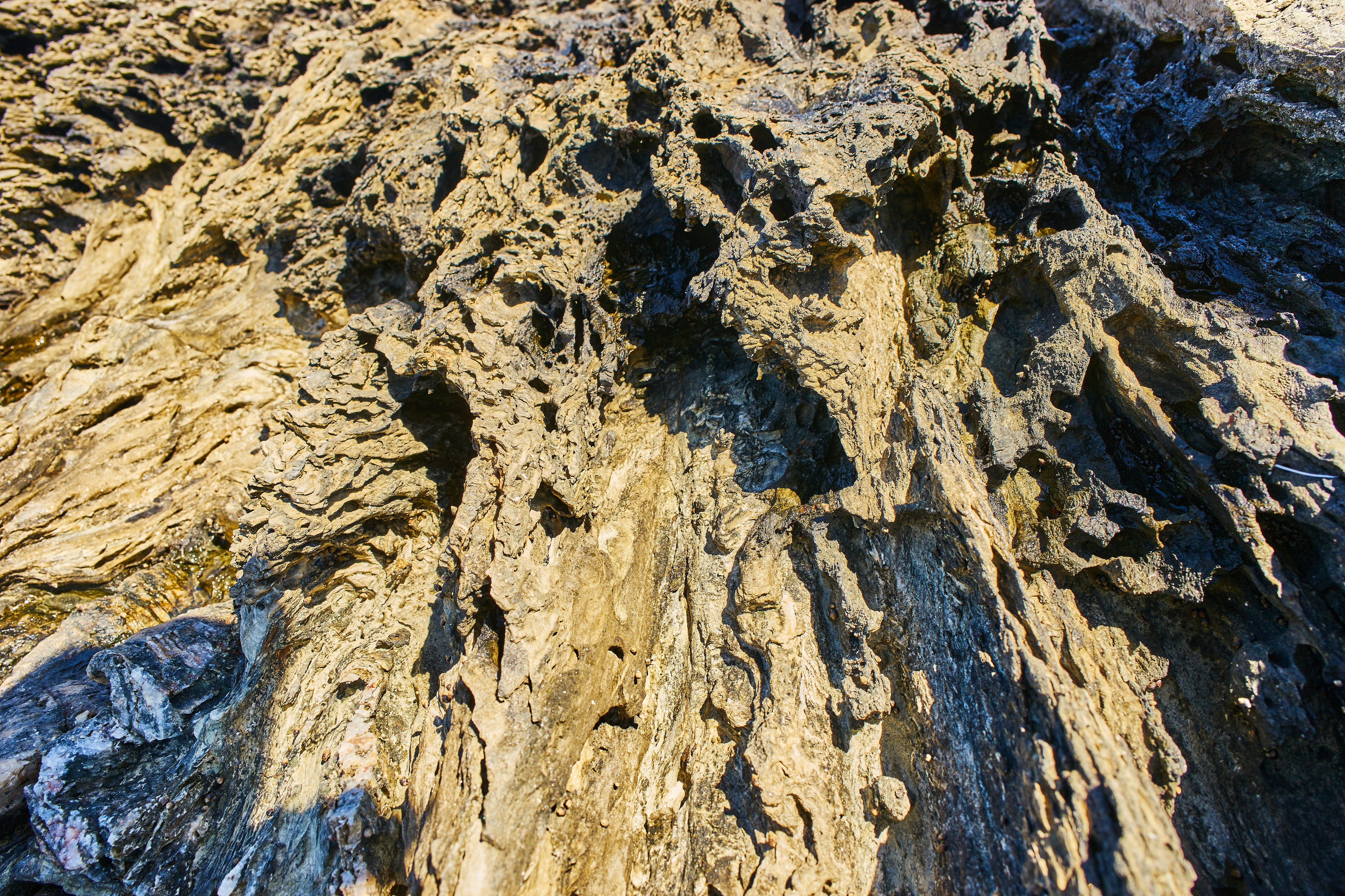 Photo by wolfgang_hasselmann