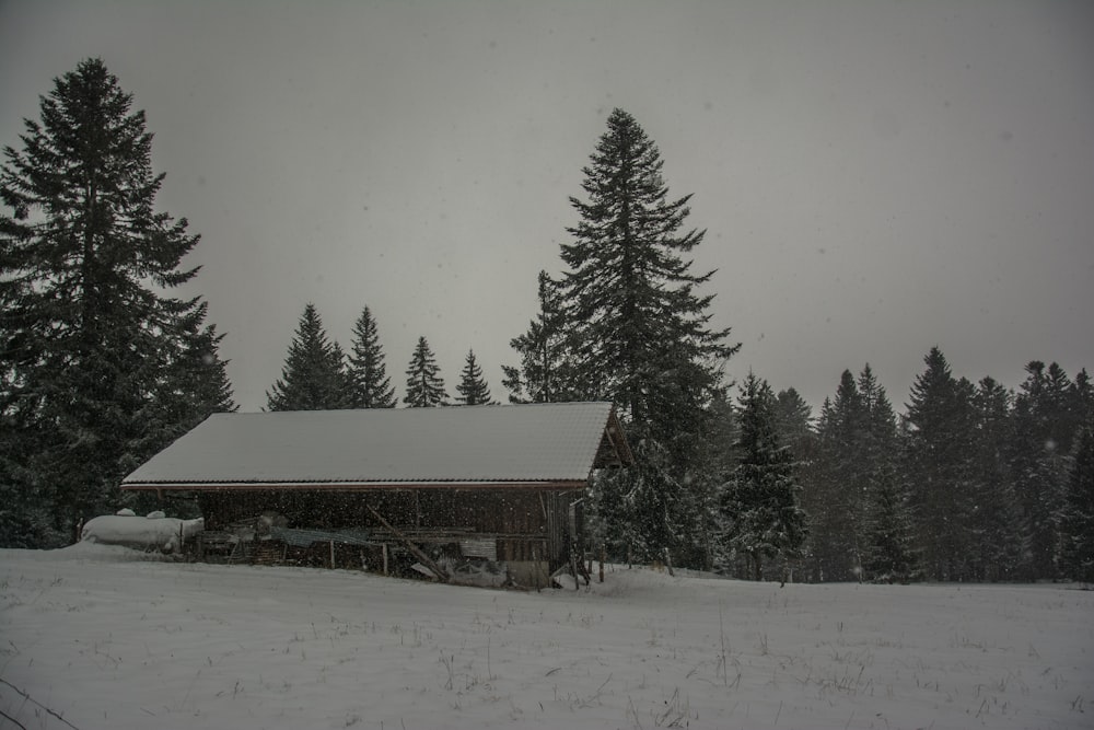 une cabane au milieu d’un champ enneigé