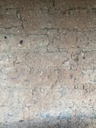 A close-up view of a textured dirt surface with small rocks and pebbles embedded throughout. The soil appears compacted with visible fissures and cracks running across the surface.