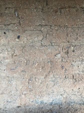 A close-up view of a textured dirt surface with small rocks and pebbles embedded throughout. The soil appears compacted with visible fissures and cracks running across the surface.