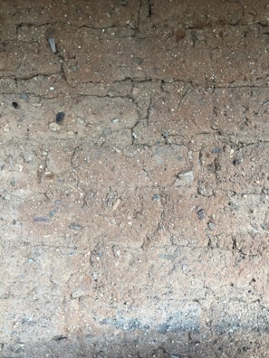 Close-up of a neatly compacted soil area prepared for paving stones.