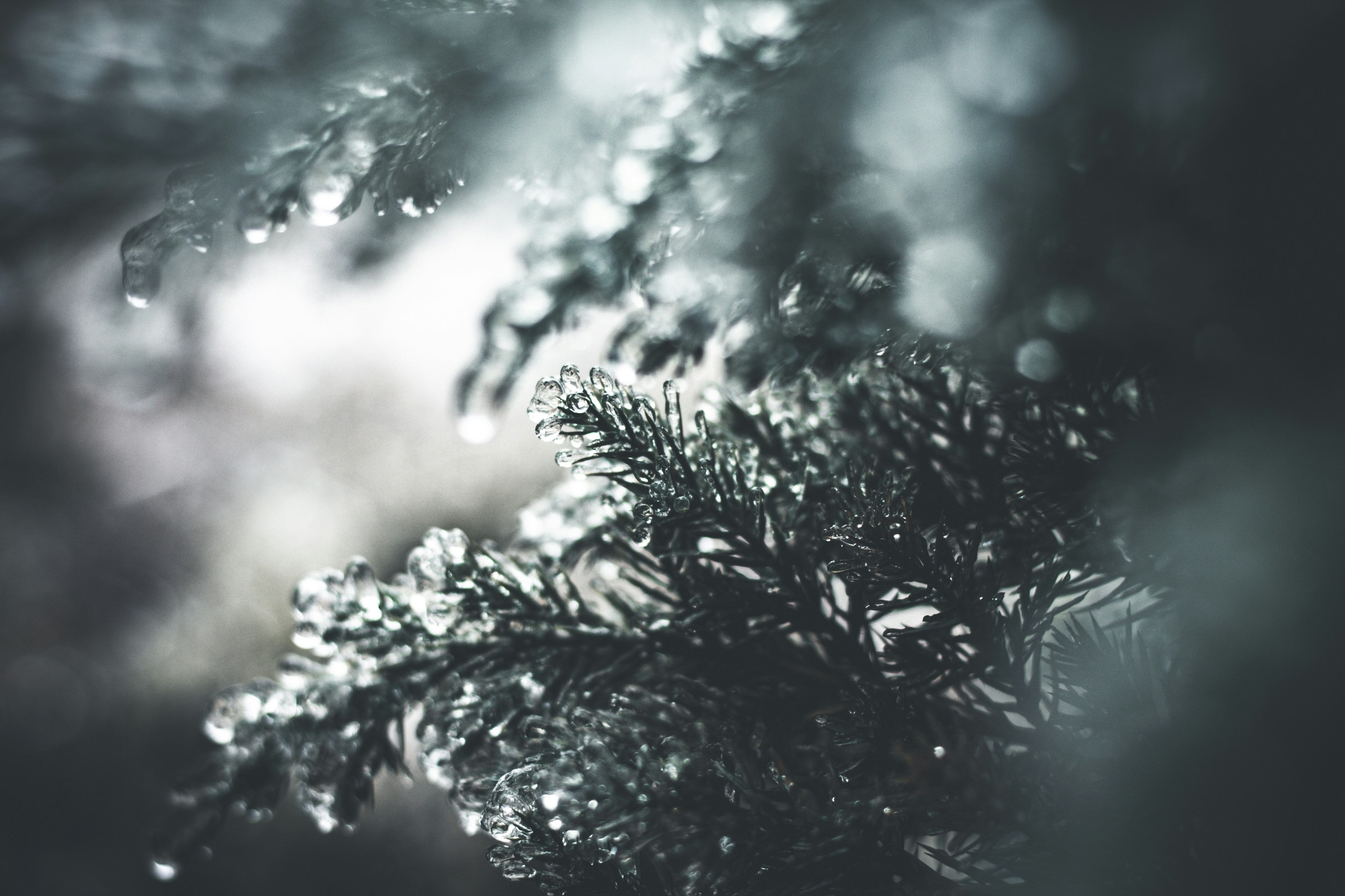 Photo by mr_papricka