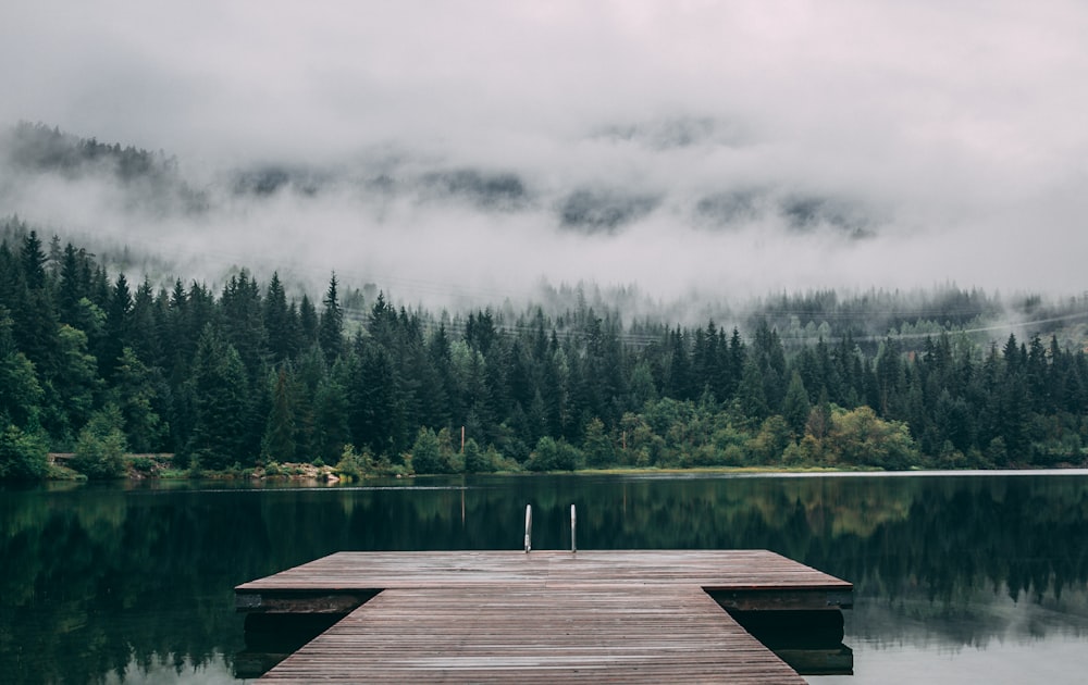 un quai assis au sommet d’un lac à côté d’une forêt