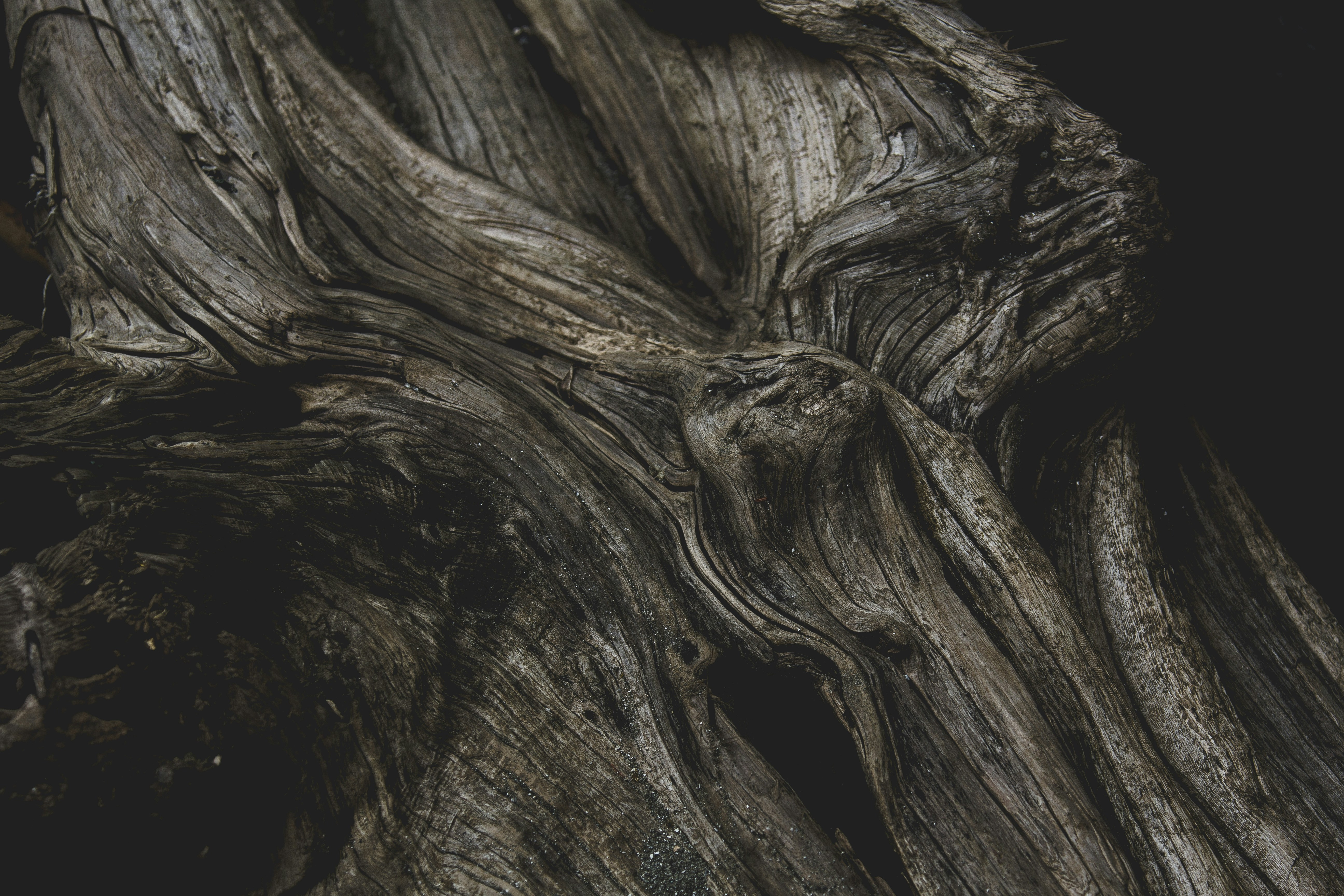 Photo by adampatterson