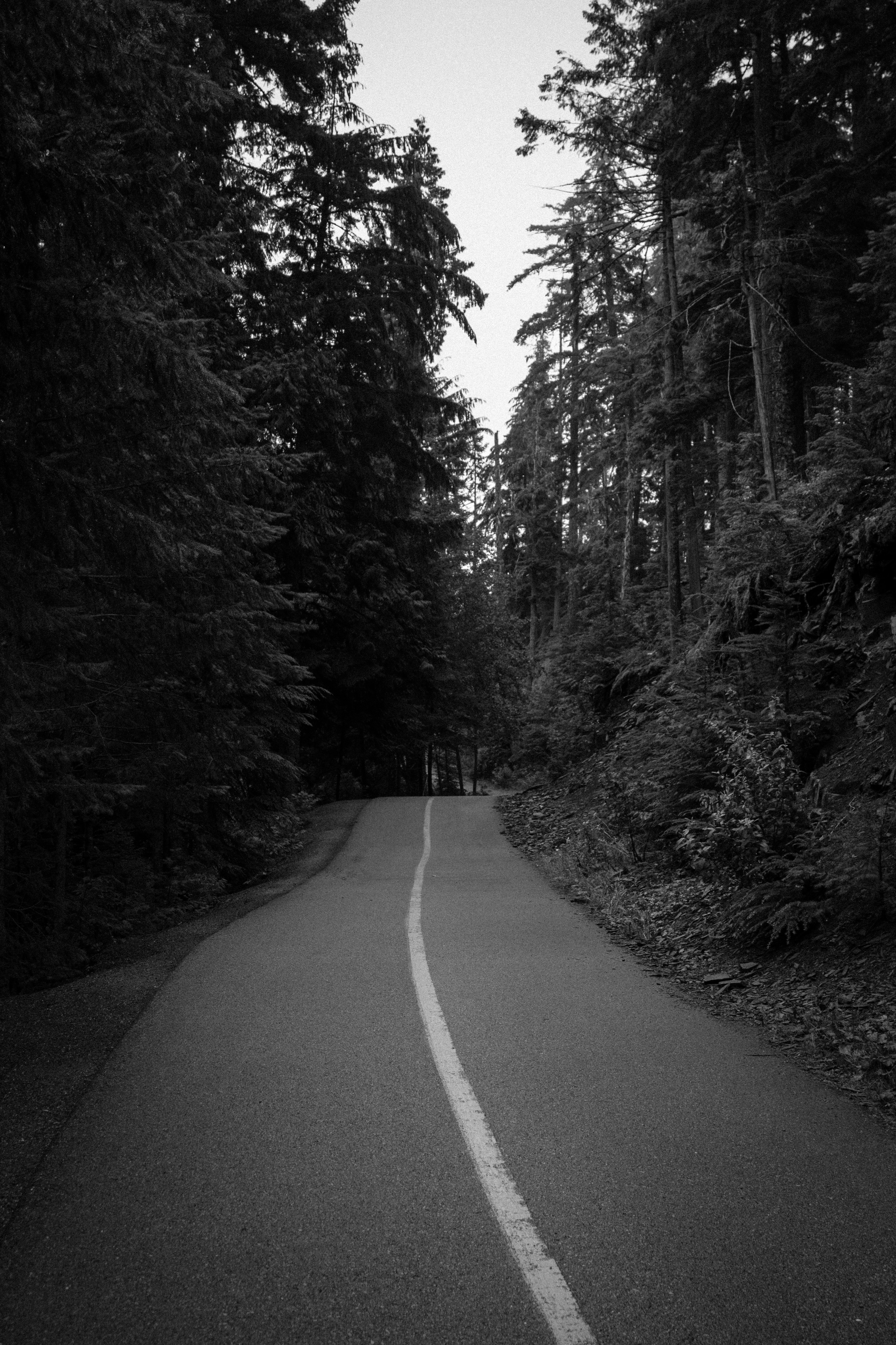 Photo by adampatterson