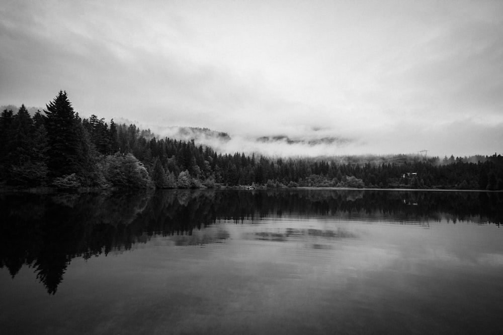 a black and white photo of a lake surrounded by trees