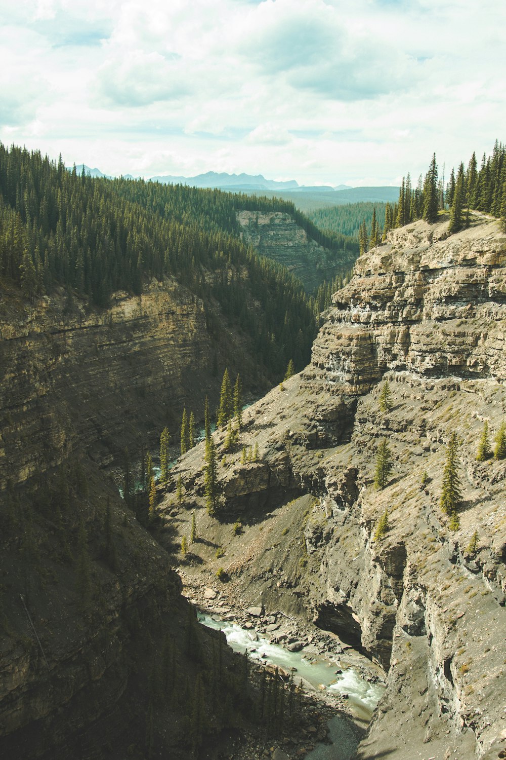 a river running through a canyon next to a forest