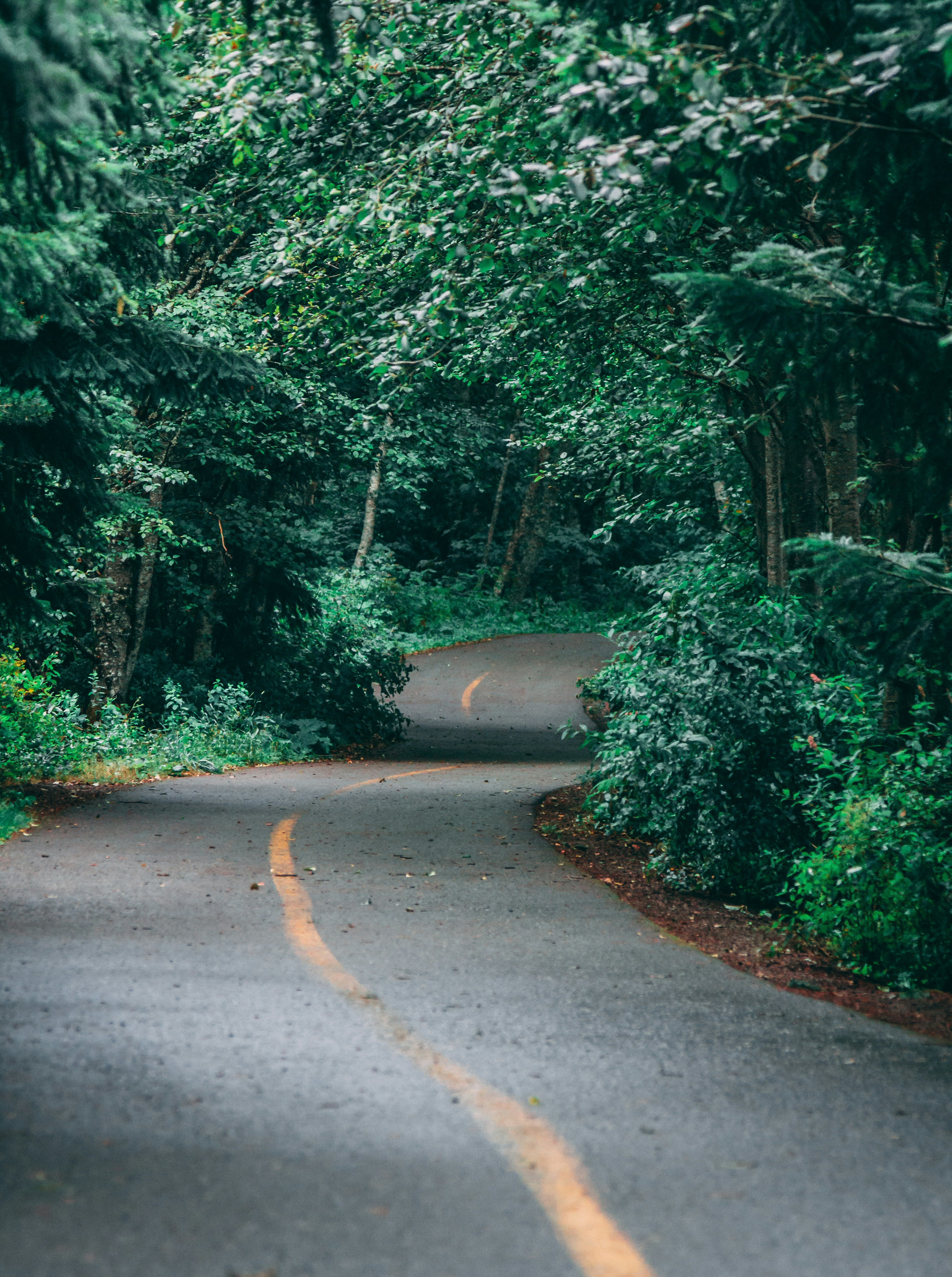 Photo by adampatterson