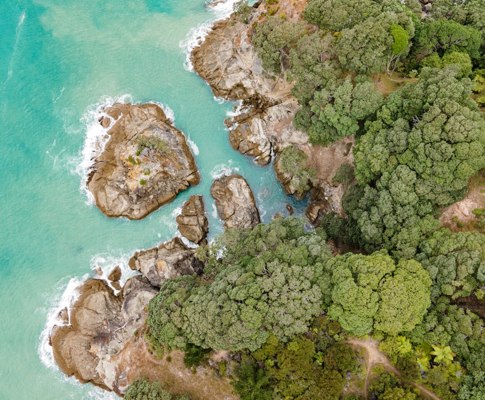 an aerial view of a body of water surrounded by trees